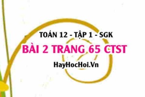 Bài 2 trang 65 Toán 12 tập 1 Chân trời sáng tạo